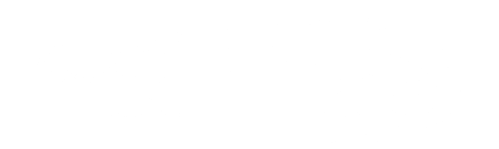 Utenos spauda